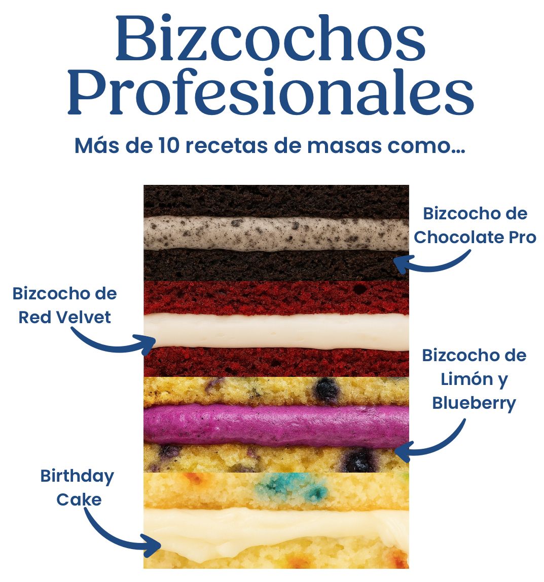 Bizcochos profesionales incluidos en ButtercreamPro